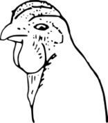 ファイル:鶏冠（三枚冠・豆冠）.svg