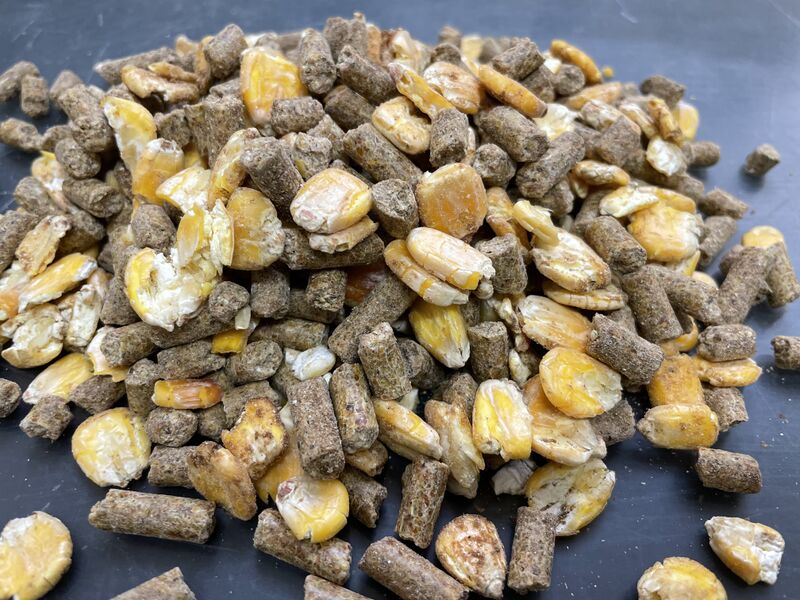 ファイル:配合飼料（ペレット＆フレーク）.JPG