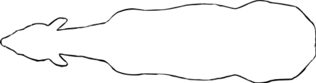 ファイル:ウマの体尺測定部位（上）.svg