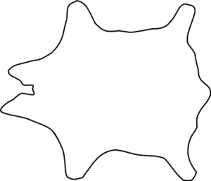 皮革の裁断部位.svg