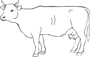 ウシの外貌.svg