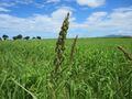 2022年6月10日 (金) 11:40時点における版のサムネイル