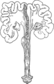 2023年3月31日 (金) 13:25時点における版のサムネイル