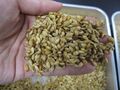 2021年1月15日 (金) 13:47時点における版のサムネイル