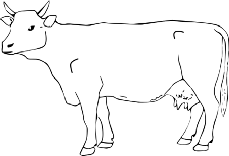ファイル:ウシの体尺測定部位.svg